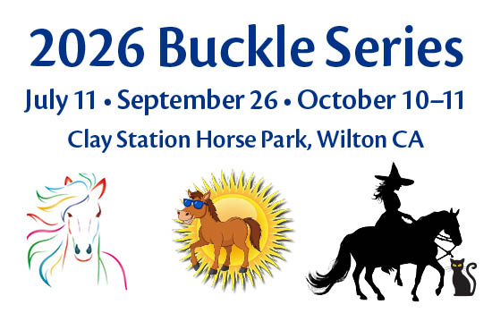2026 Buckle Series